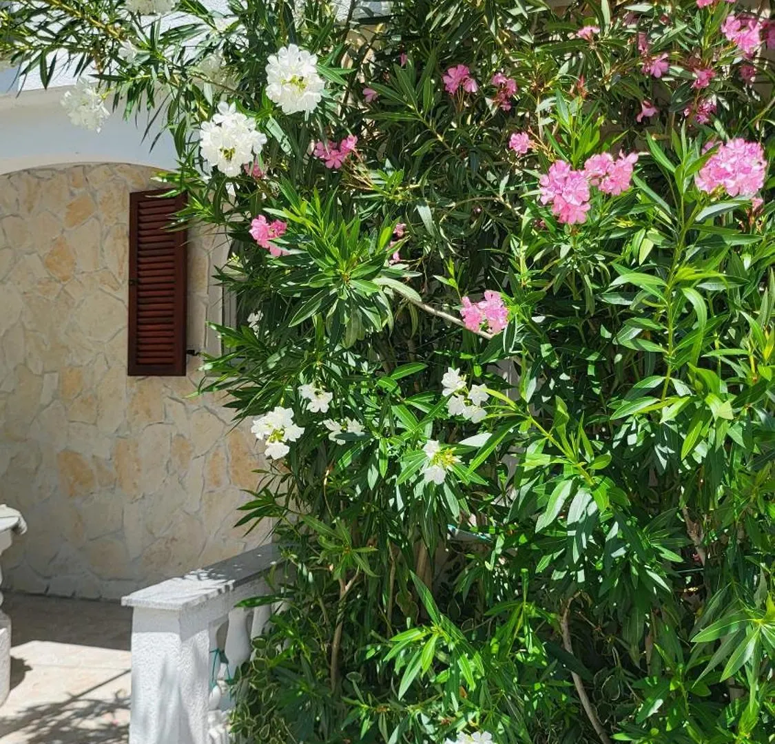Wellness-Villa-نين 0*, نين كرواتيا